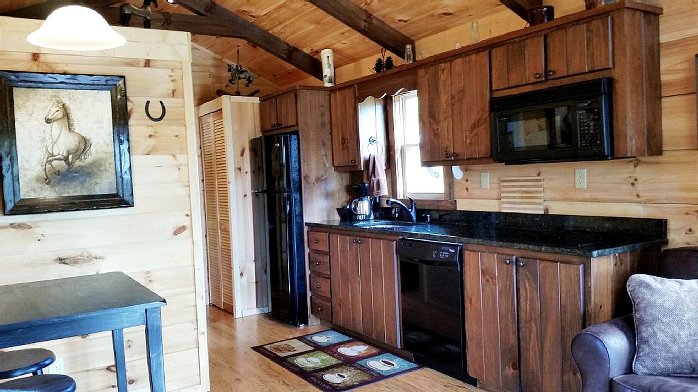 Unique Pet-Friendly Mountain Cabin Rental near Tryon International Equestrian Center