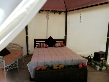 undefined photo 4
