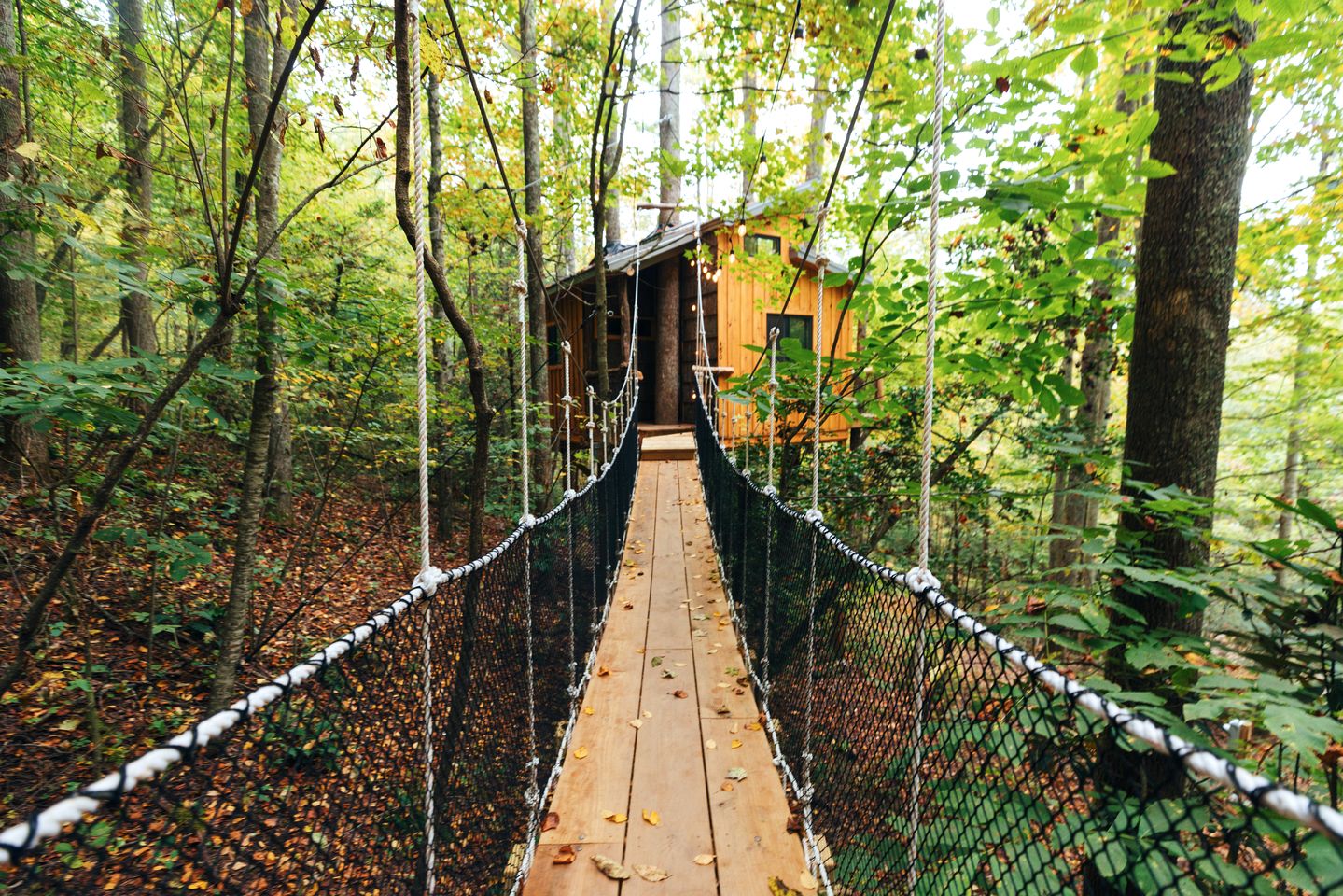 Magical Treehouse Stay with Creekside Sauna Experience in Zirconia, North Carolina