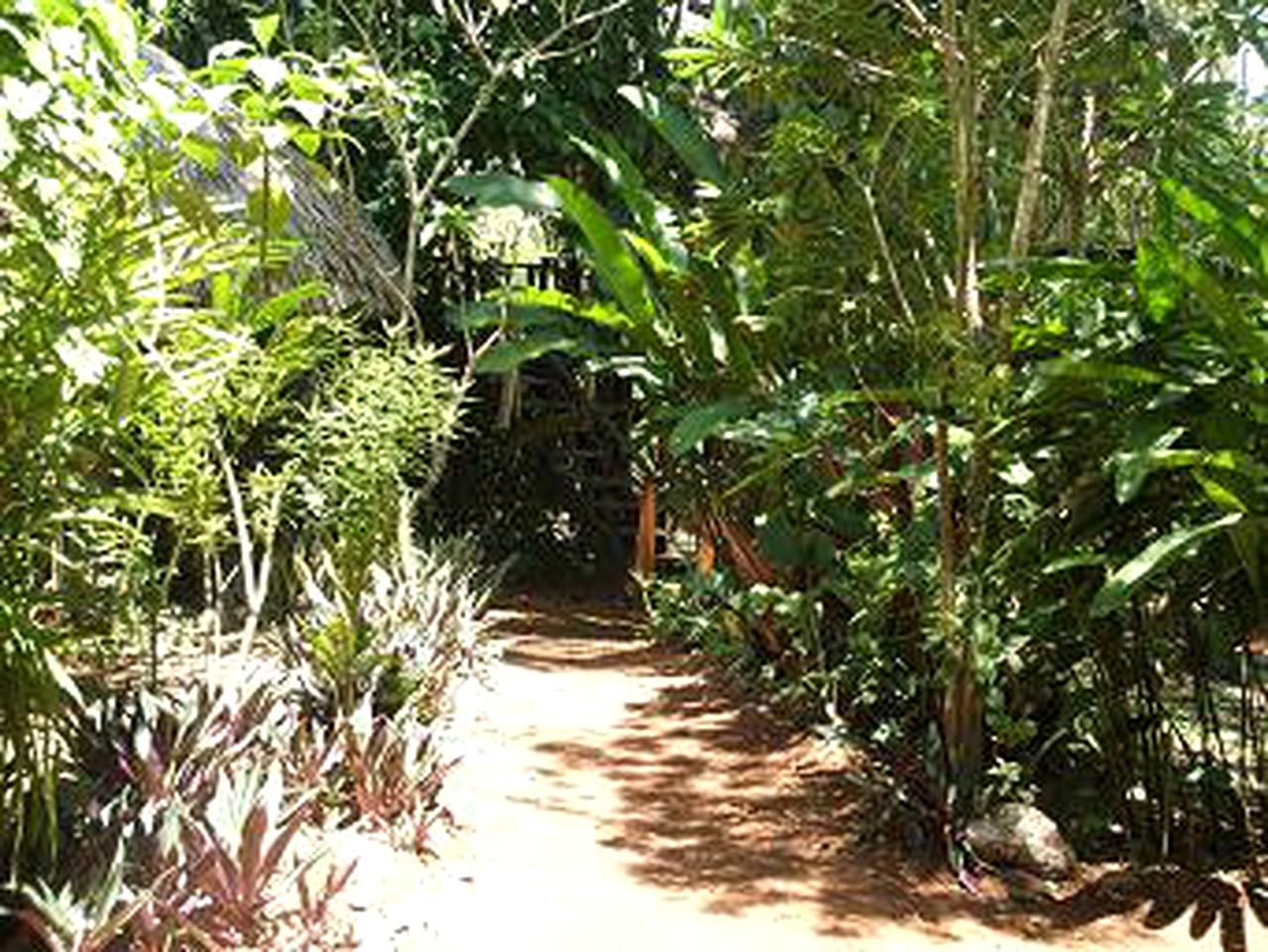 Riverside Cabin for a Romantic Getaway in San Ignacio, Belize