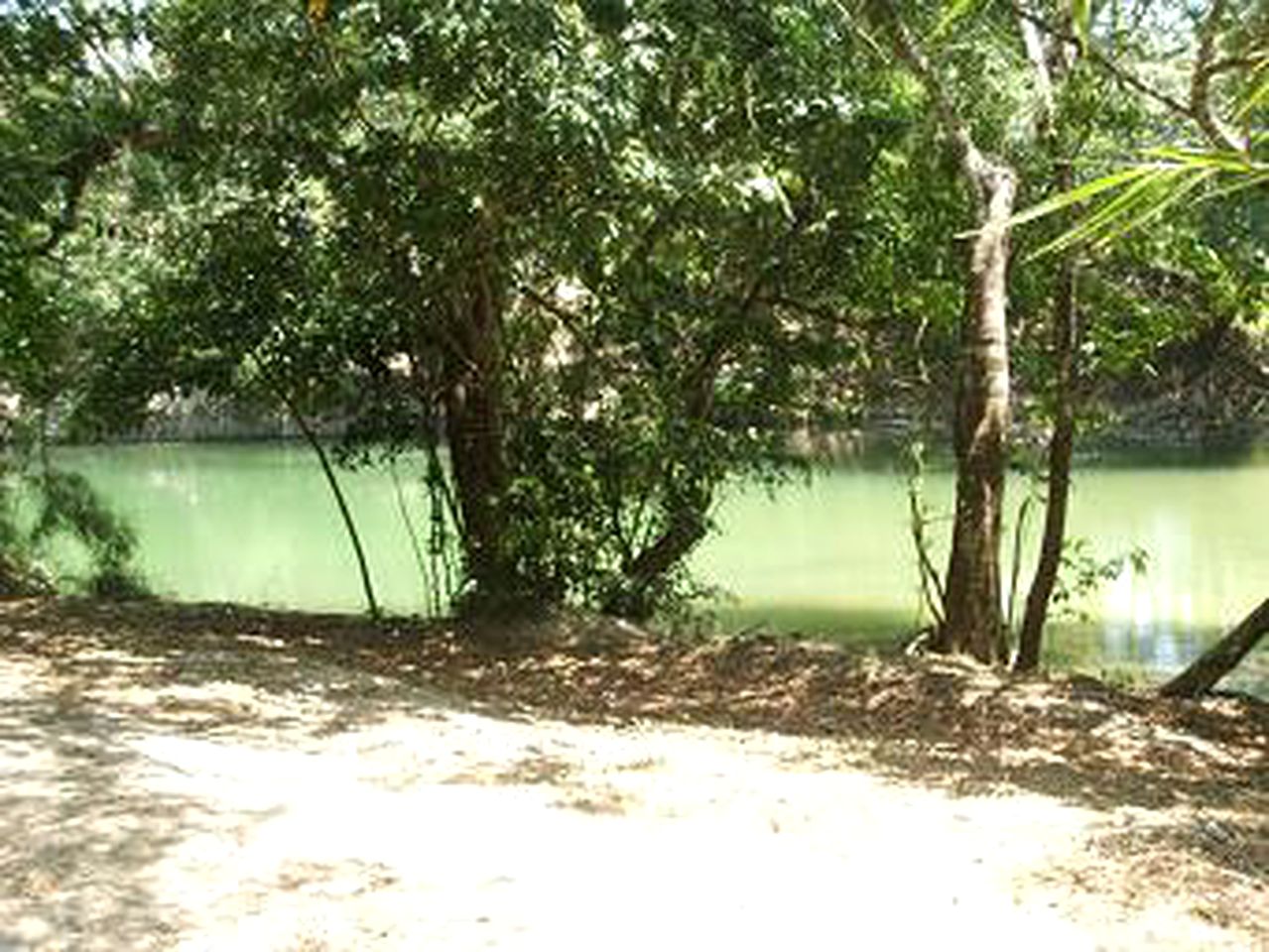 Riverside Cabin for a Romantic Getaway in San Ignacio, Belize