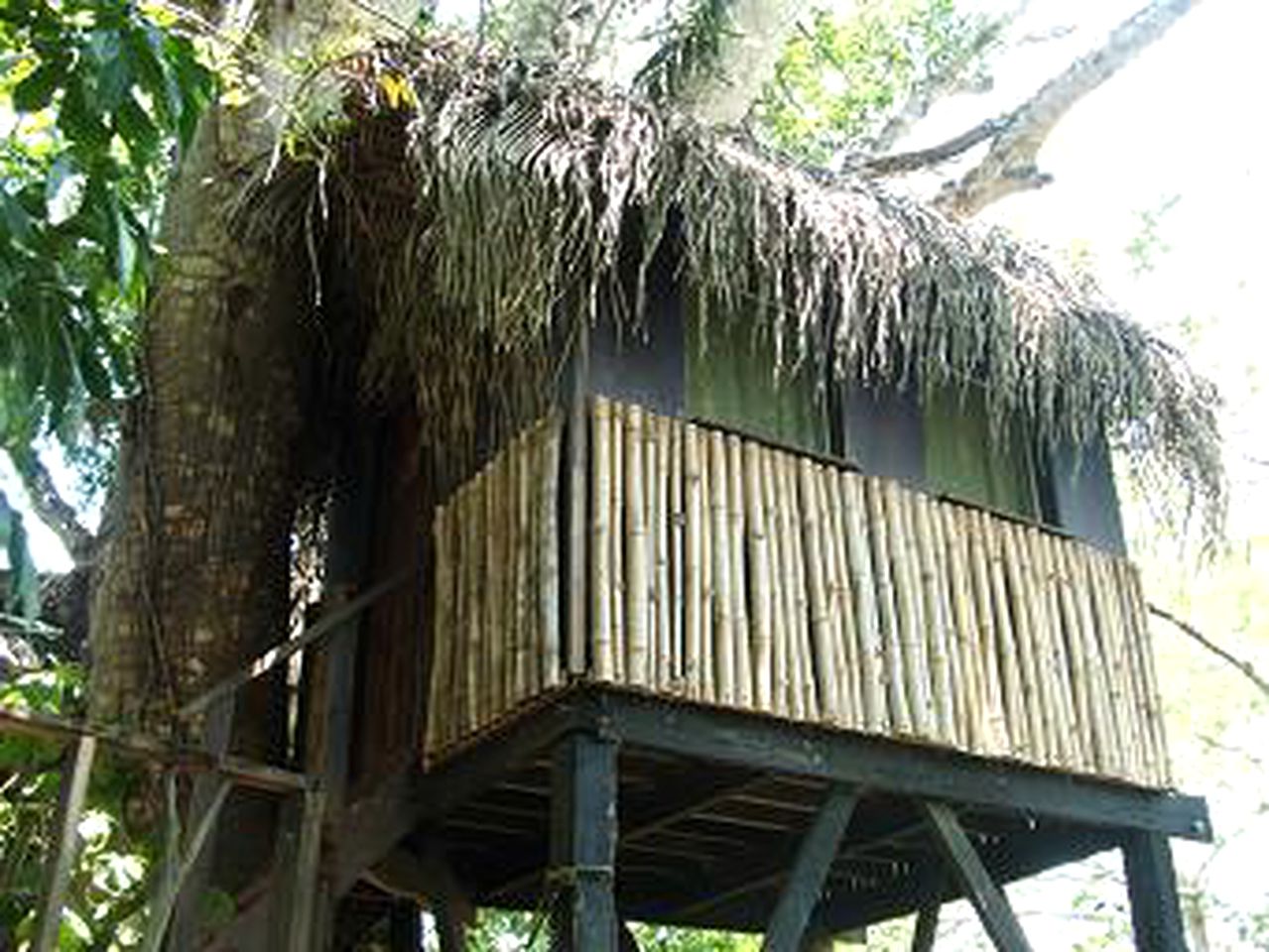 The Perfect Relaxing Weekend Getaway in a tropical Paradise, Belize