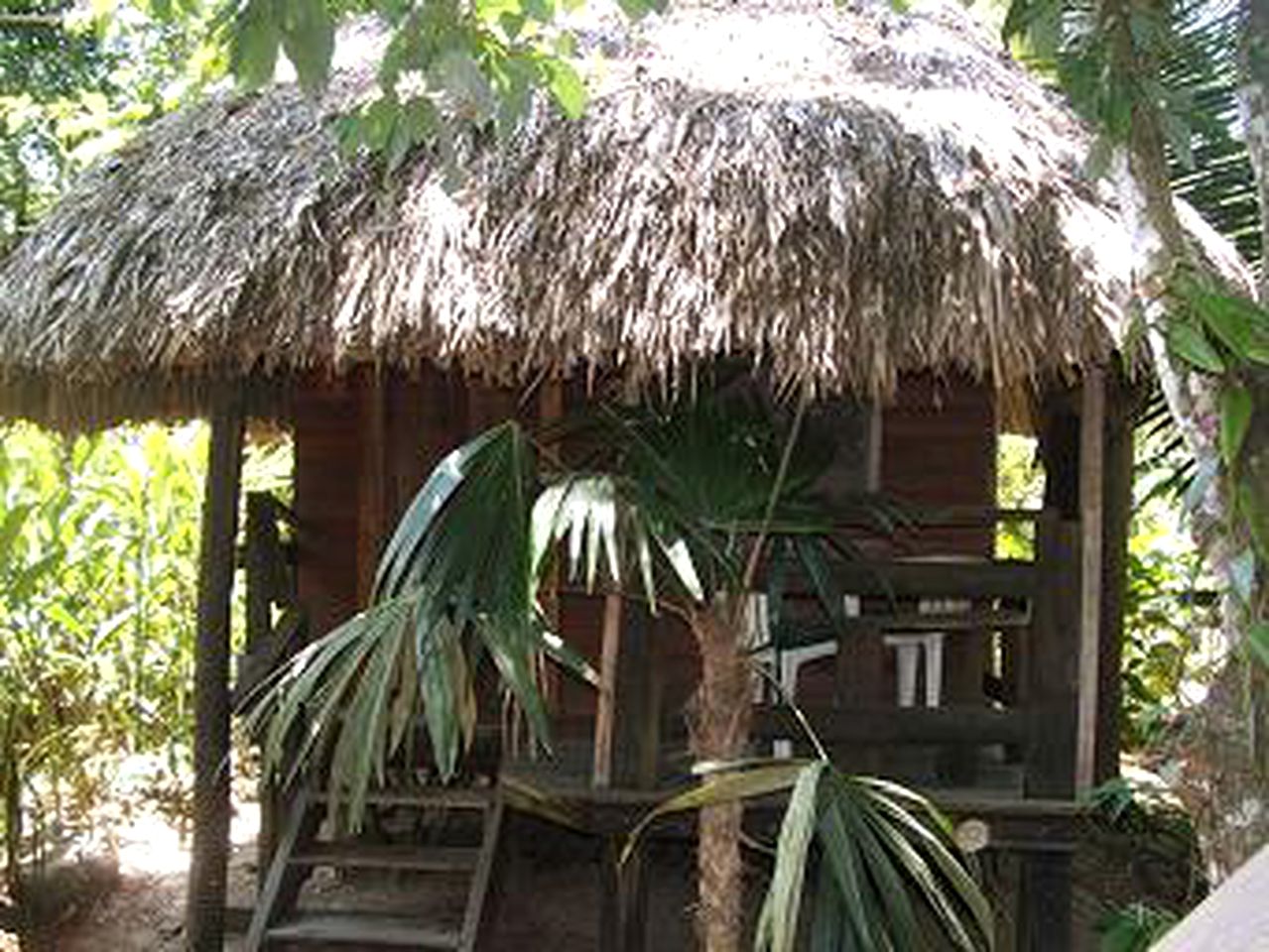 Idyllic Cabin with Wi-Fi and a Great Atmosphere in the Jungle Setting