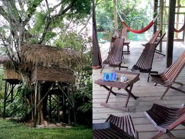 Parrot Nest Lodge - Parrot Nest Treehouse 1 photo 2