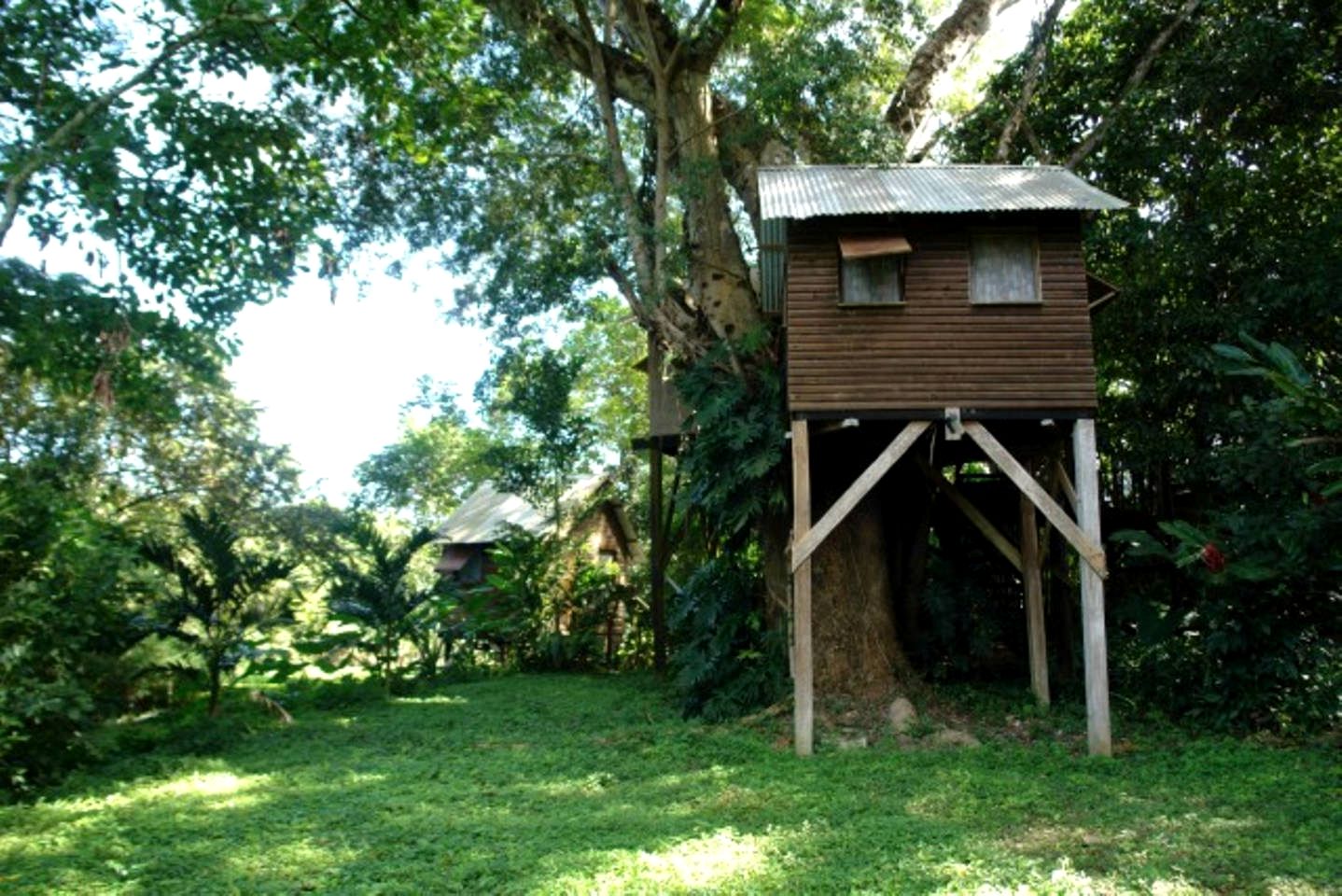 Unique Tree House Getaway with Wi-Fi in San Ignacio, Belize