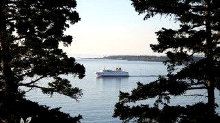 Cottages (Grand Manan Island, New Brunswick, Canada)