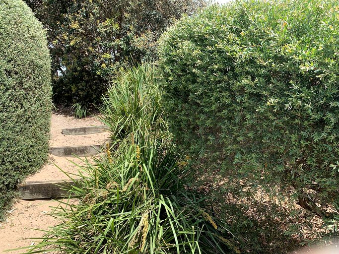 Beach Houses (Australia, Culburra Beach, New South Wales)