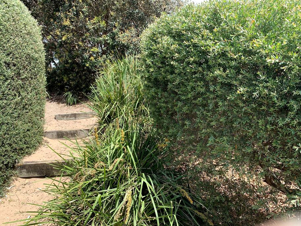 Stunning Beach House with Barbecue and Beach Access in Culburra Beach, New South Wales