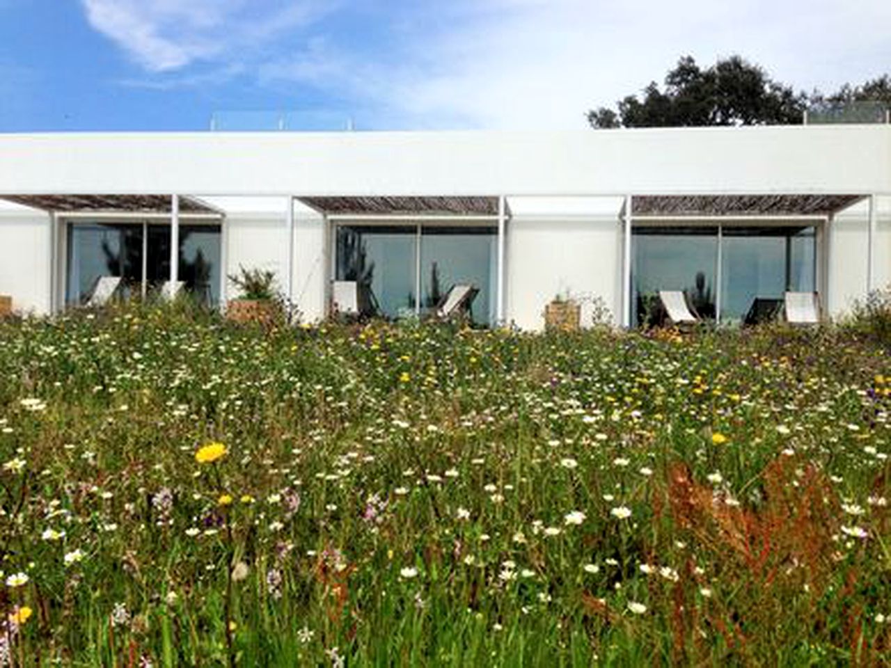 Lovely Vacation Rentals with Private Terraces on a Farm near Alentejo Coast, Portugal