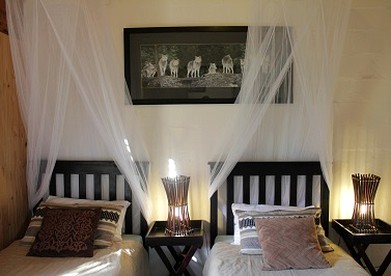 undefined photo 5