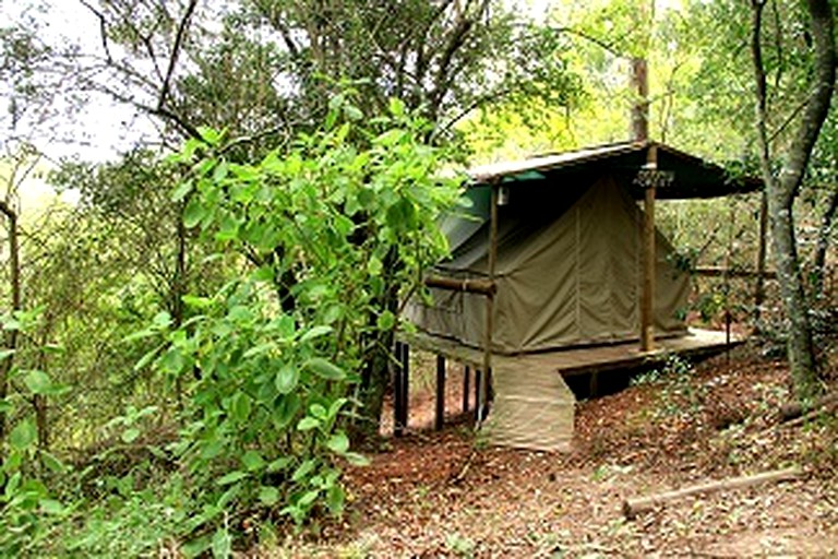 Safari Tents (Rheenendal, Western Cape, South Africa)