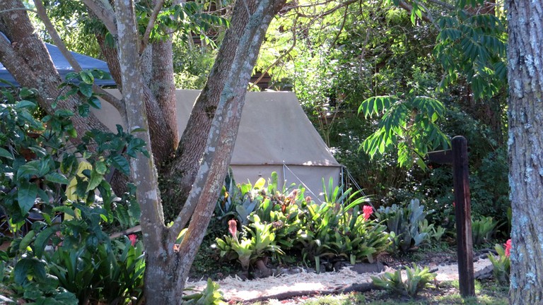 Safari Tents (Rheenendal, Western Cape, South Africa)