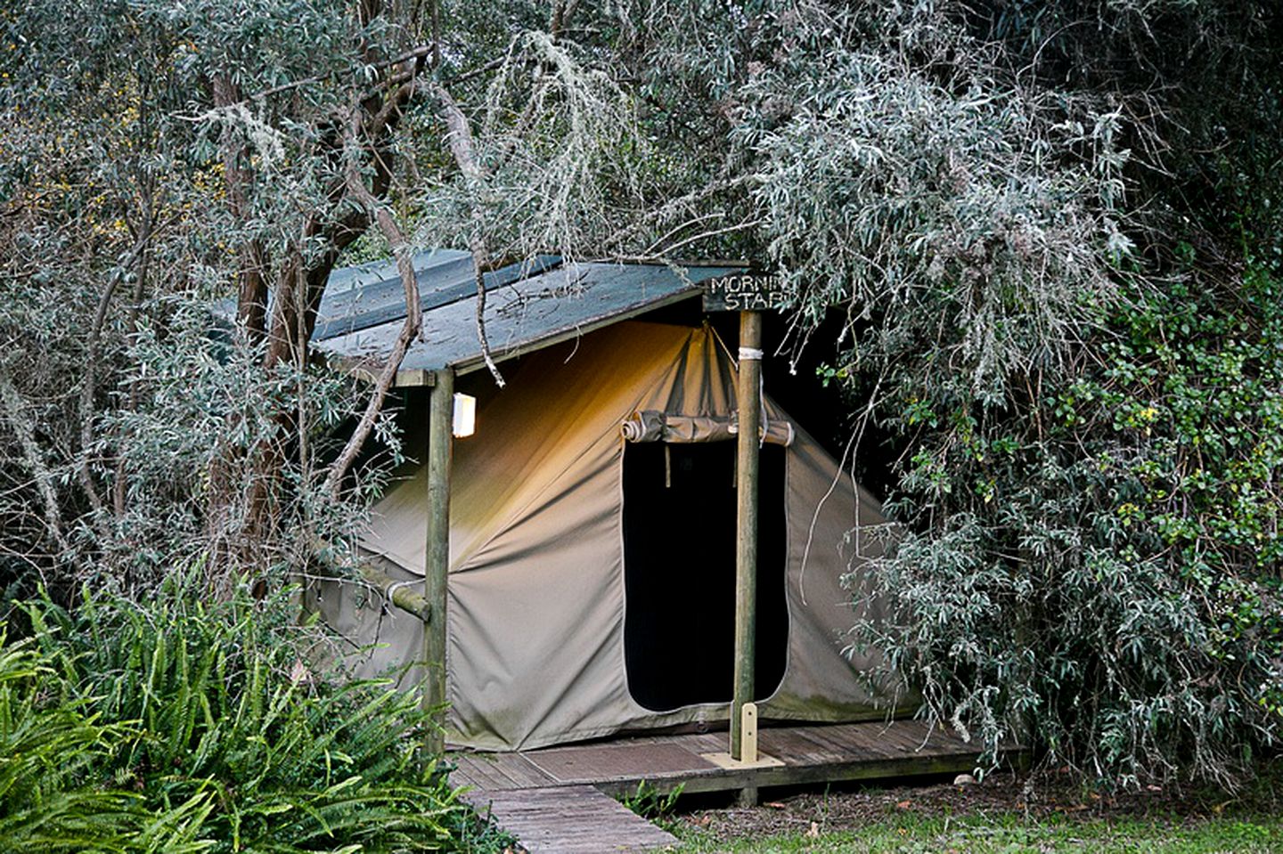 Unique Luxury Camping Getaway Surrounded by Mystical Forest near Knysna, South Africa