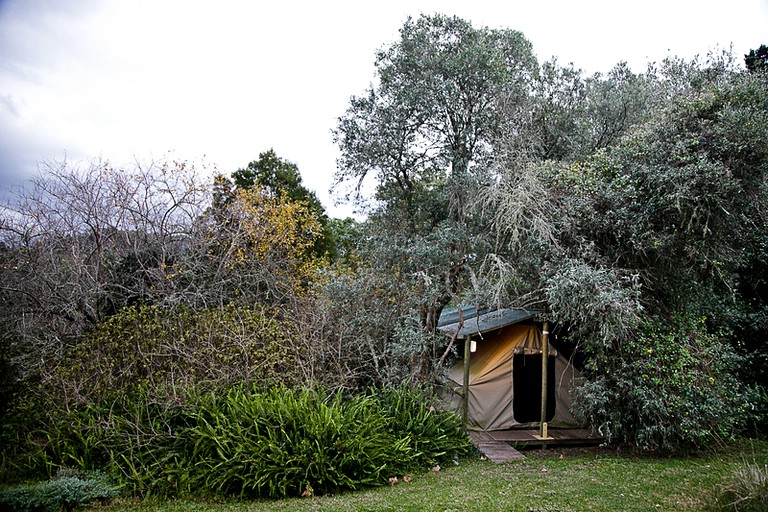 Safari Tents (Rheenendal, Western Cape, South Africa)