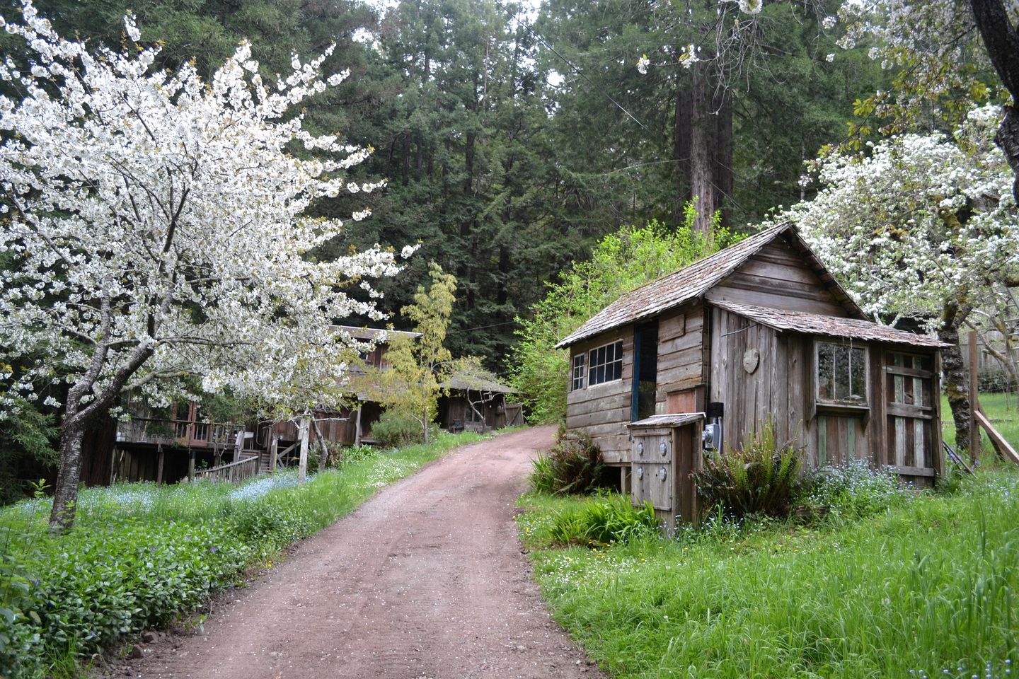 Big River Farm, Cabins, Mendocino, United States of America Glamping Hub