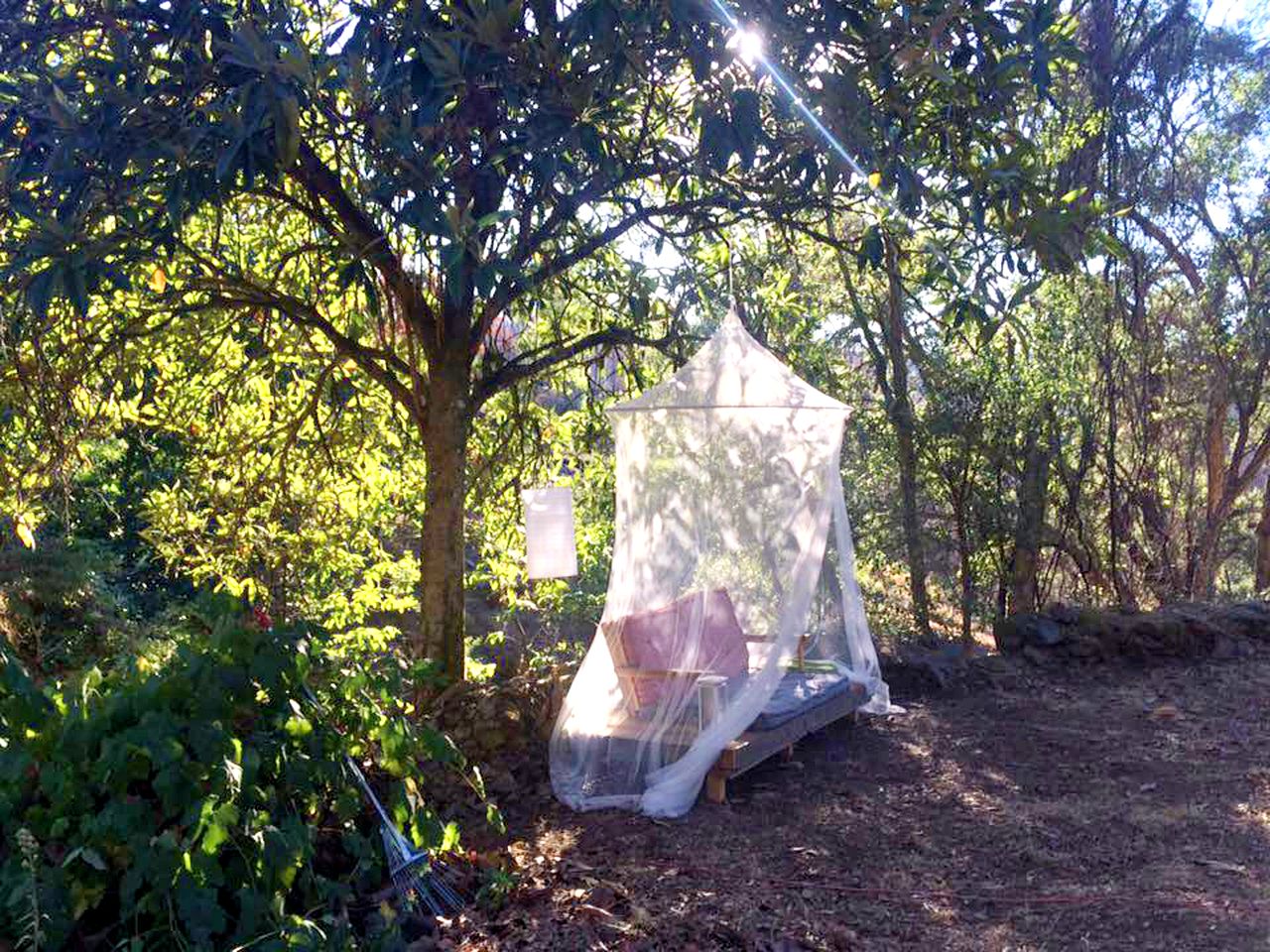 Peaceful Bell Tent Ideal for a Romantic Getaway near Serra da Estrela, Portugal