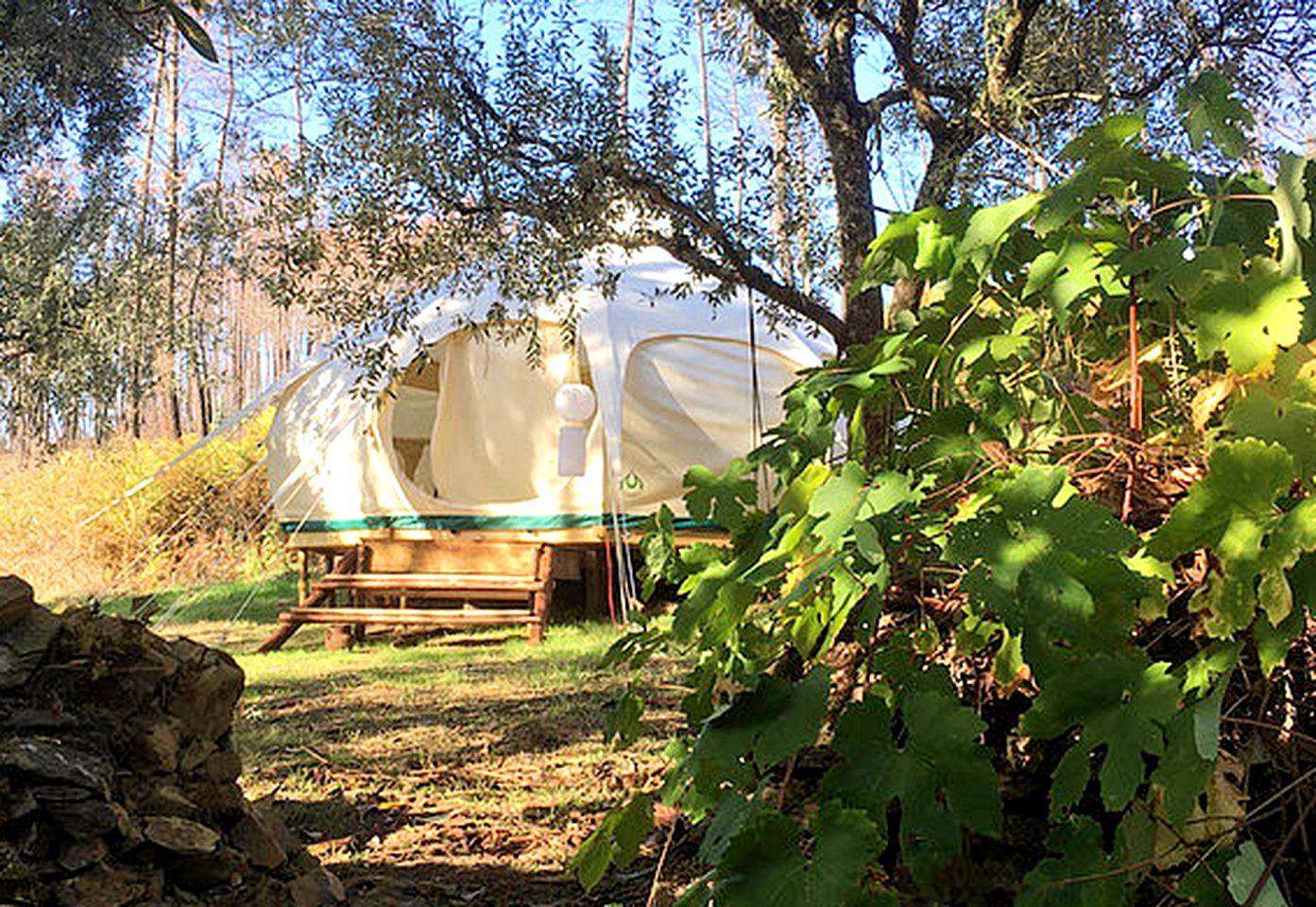 Peaceful Bell Tent Ideal for a Romantic Getaway near Serra da Estrela, Portugal