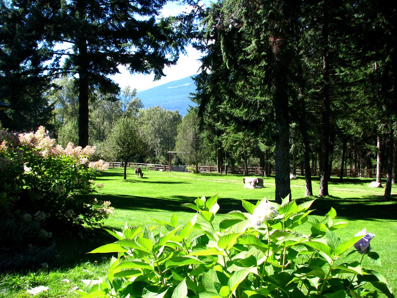 Peaceful Cabin Rental on Kootenay Lake in British Columbia