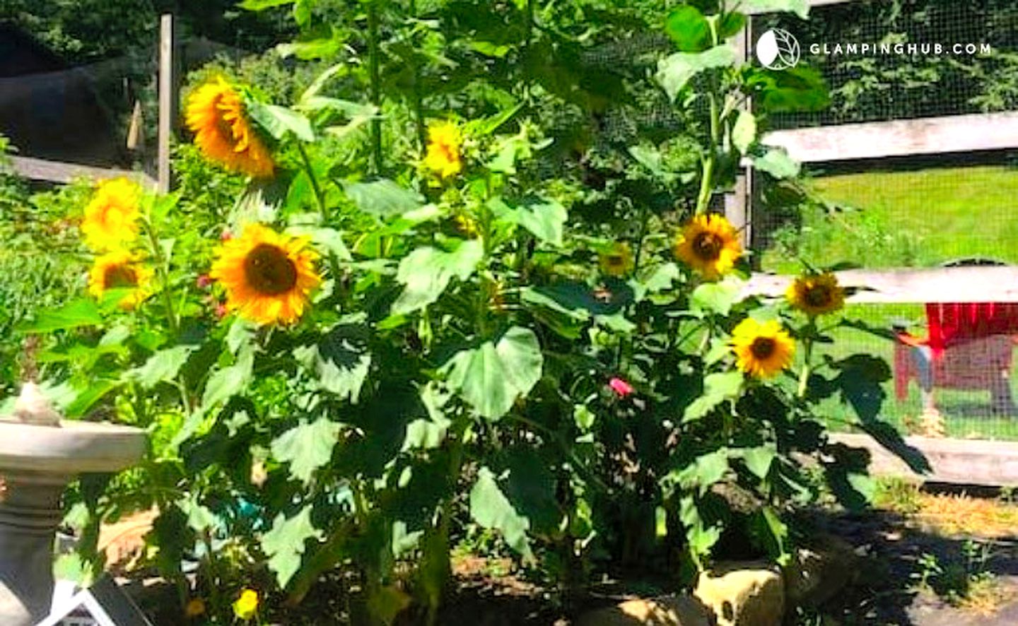 Peaceful Getaway above a Beautiful Yoga Studio near Devil's Den Nature Preserve, Connecticut