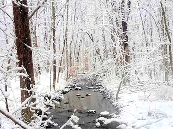 Barns (Redding, Connecticut, United States)