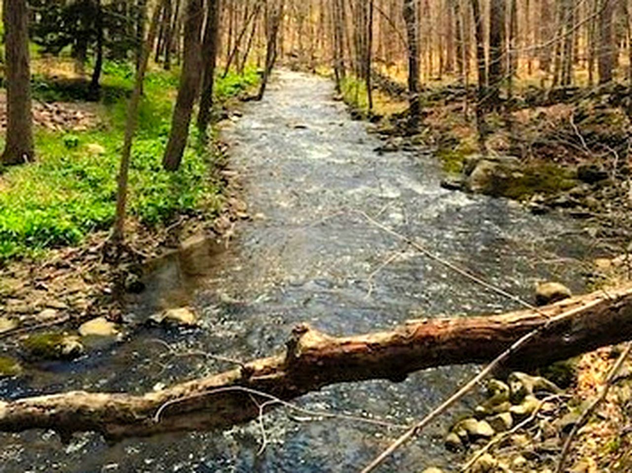 Peaceful Getaway above a Beautiful Yoga Studio near Devil's Den Nature Preserve, Connecticut