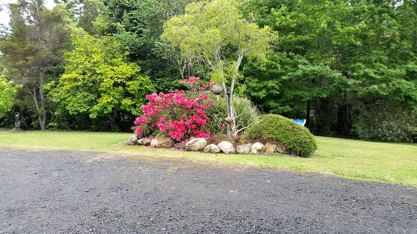 Peaceful Cottage for Two in Stunning Gardens near Cathedral Cove, North Island