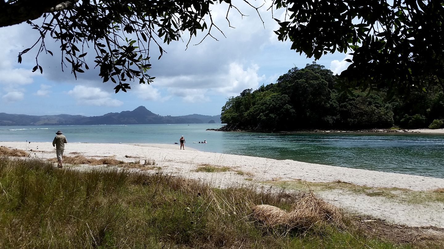 Peaceful Cottage for Two in Stunning Gardens near Cathedral Cove, North Island