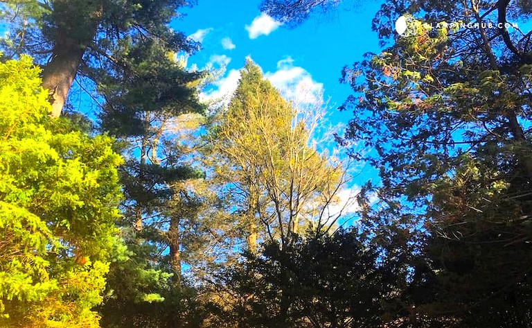 Cottages (Watertown, Connecticut, United States)