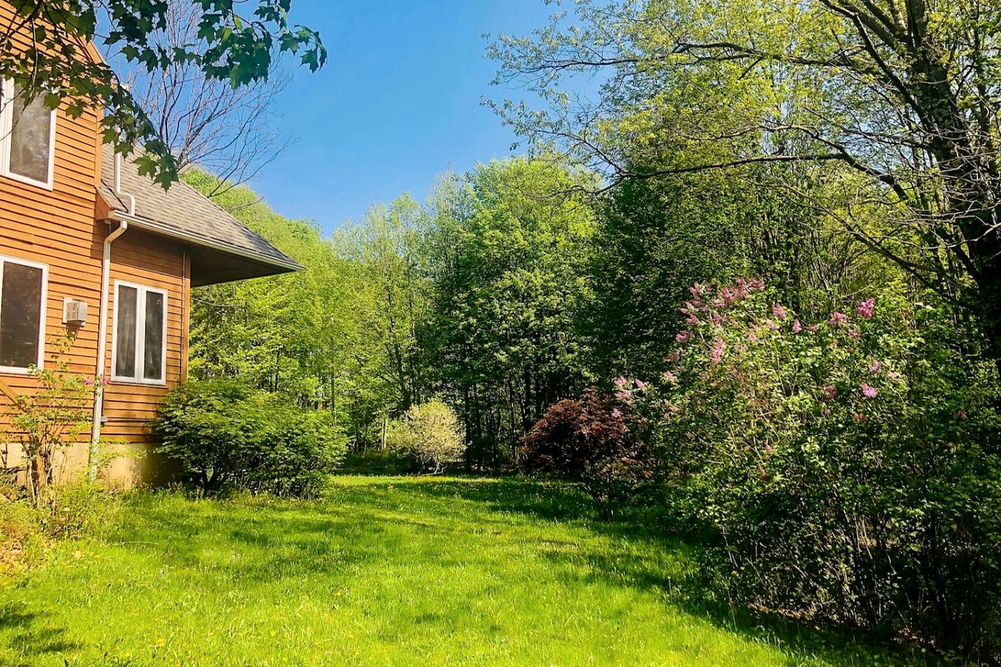 Peaceful Country Retreat with Private Trails, Sauna & Stargazing in Bloomville, New York