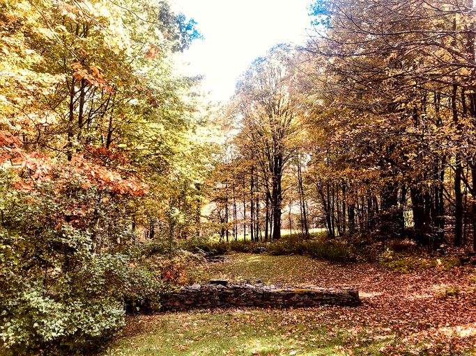 Vacation Rentals (United States of America, Bloomville, New York)