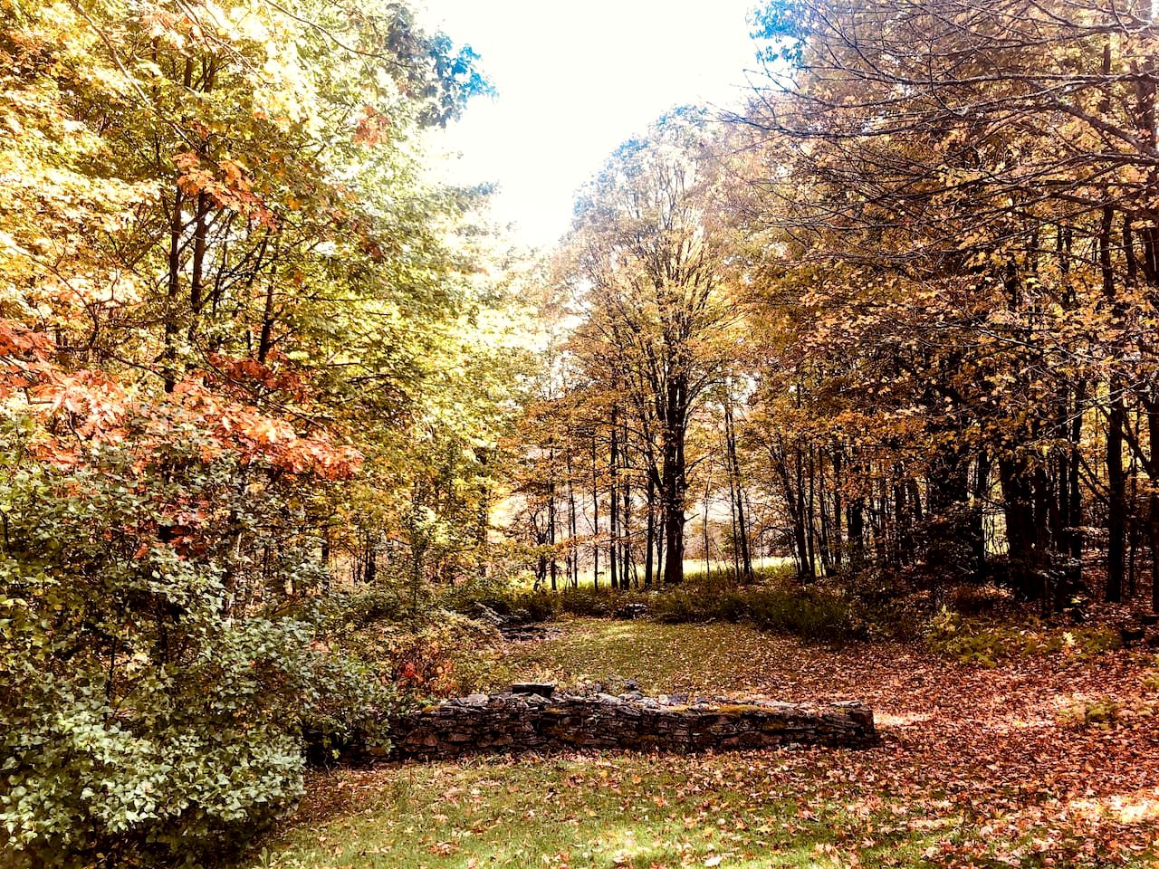 Peaceful Country Retreat with Private Trails, Sauna & Stargazing in Bloomville, New York