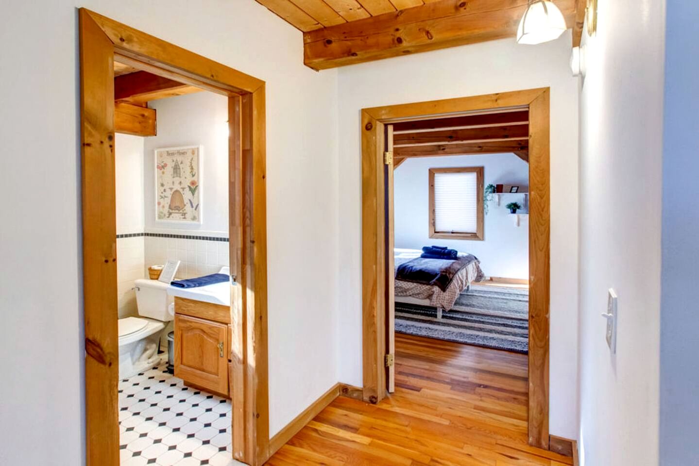 Peaceful Country Retreat with Private Trails, Sauna & Stargazing in Bloomville, New York