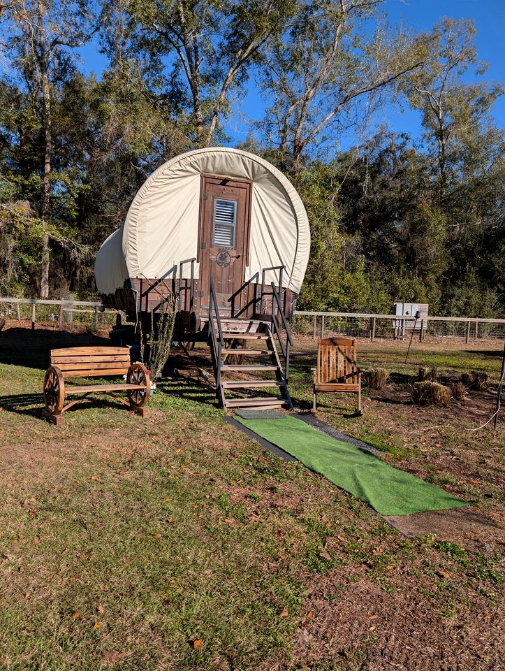 Soulful Glamping Experience with Highland Cows, Private Wagon & Nature in Melrose, Florida