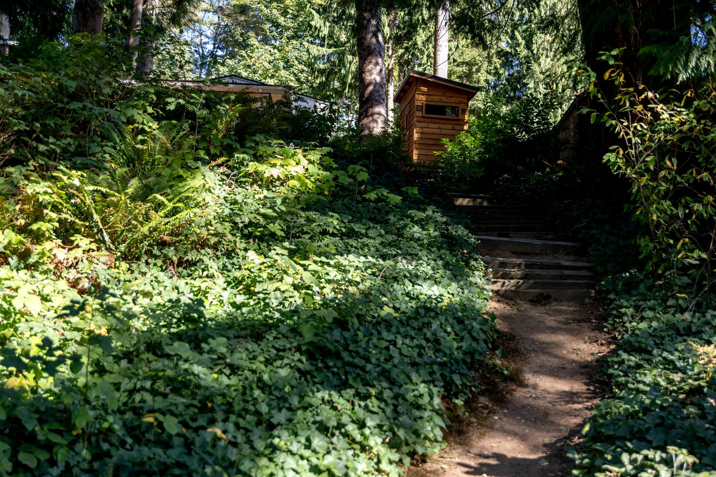 Peaceful Lakefront Retreat with Sauna Near Bellingham & Mount Vernon in Sedro-Woolley, Washington