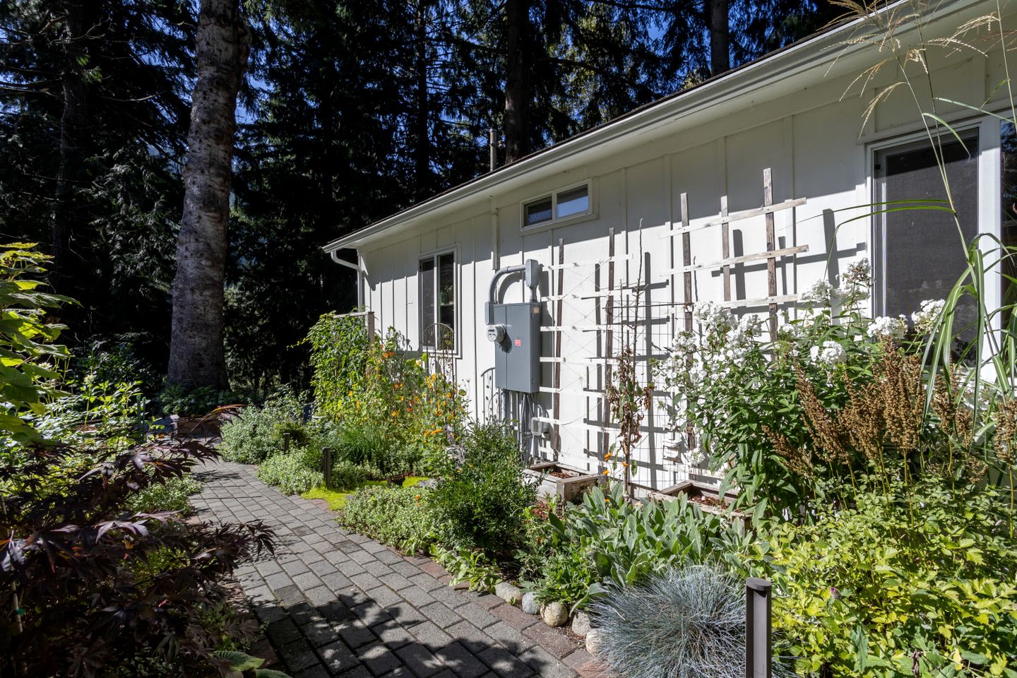 Peaceful Lakefront Retreat with Sauna Near Bellingham & Mount Vernon in Sedro-Woolley, Washington