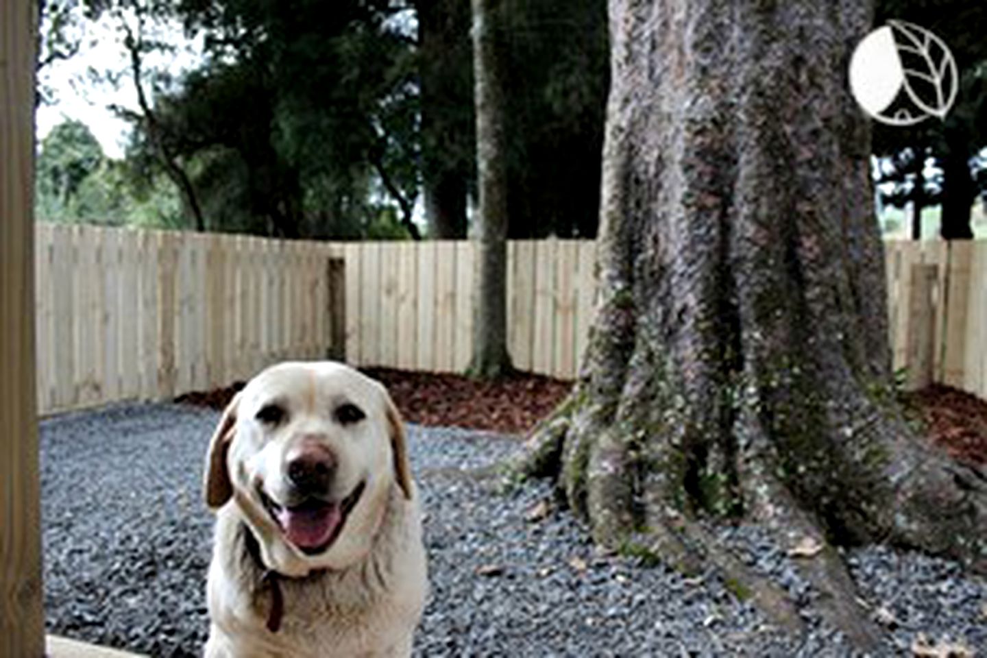 Peaceful Lodge for Group Holiday Overlooking the Rangitikei River, New Zealand