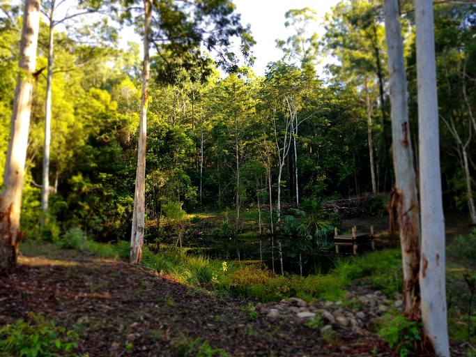 Log Cabins (Main Creek, New South Wales, Australia)