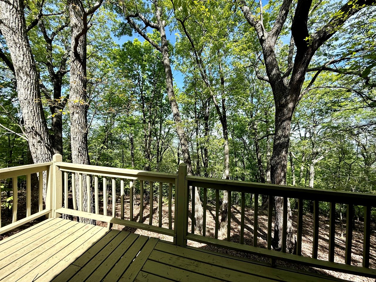 Peaceful Luxury Cabin with Floor-to-Ceiling Glass Views & Historic Gas Log Near Cloudland Canyon, Mentone, Alabama