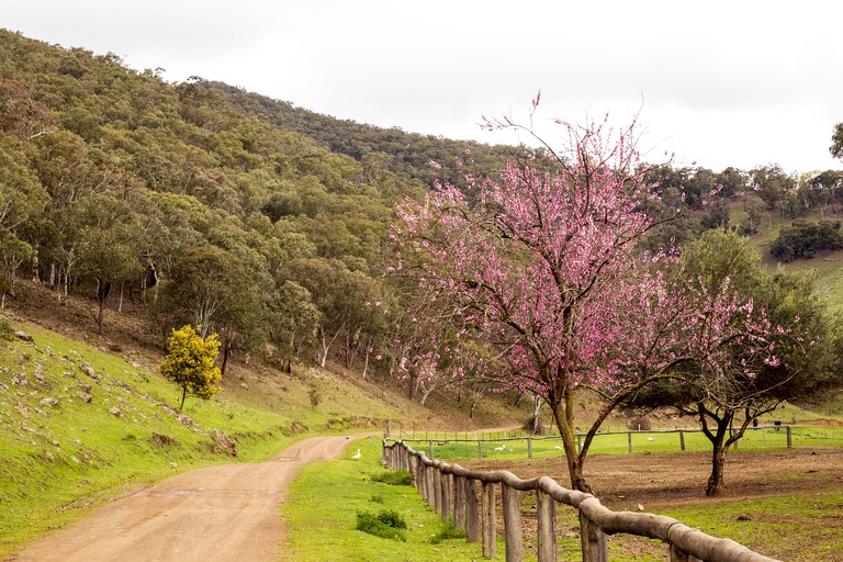 Cabins (Capertee, New South Wales, Australia)