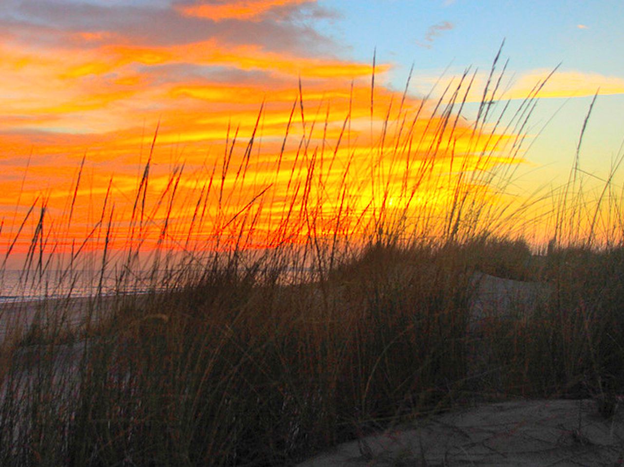Peaceful Oceanside Cabin Rental with Pool Access near Huelva, Andalusia