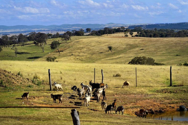Tiny Houses (Australia, Pomeroy, New South Wales)