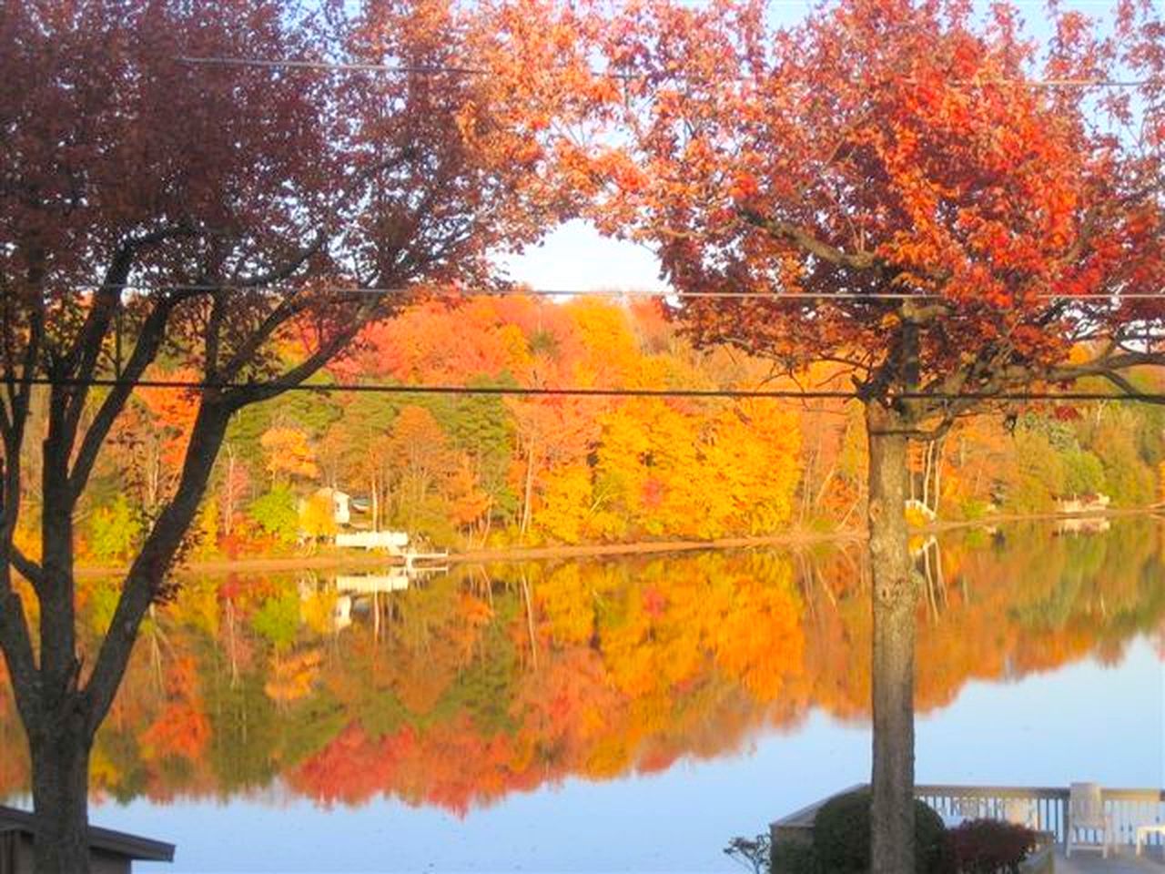 Peaceful Private Cabin on Crystal Lake near Elk Mountain, Pennsylvania