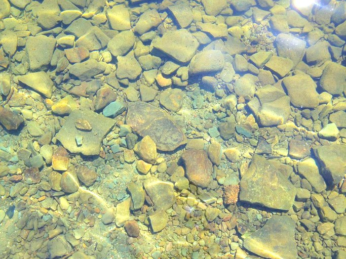 Cabins (Clifford, Pennsylvania, United States)