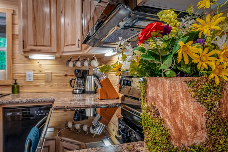 Cabins (United States of America, Mentone, Alabama)