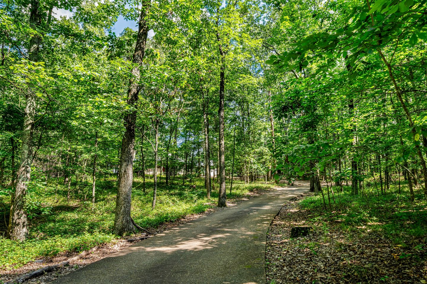 Peaceful Secluded Cottage with Amazing Views in Mentone, Alabama