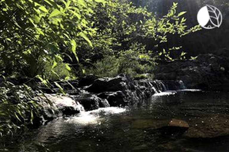 Nature Lodges (Penn Valley, California, United States)