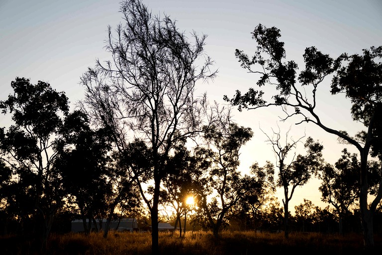 Tiny Houses (Australia, Toonpan, Queensland)