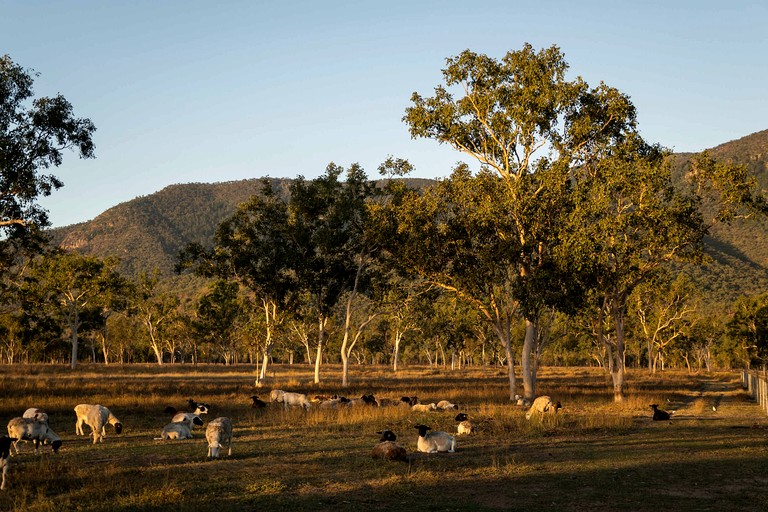 Tiny Houses (Australia, Toonpan, Queensland)