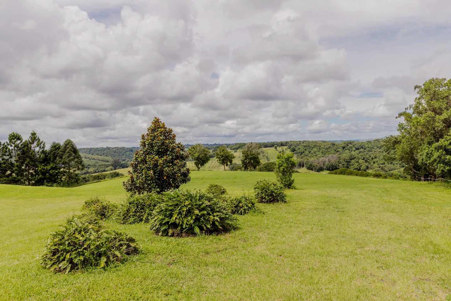 Peaceful Tiny House with Great Sights in Eureka, New South Wales