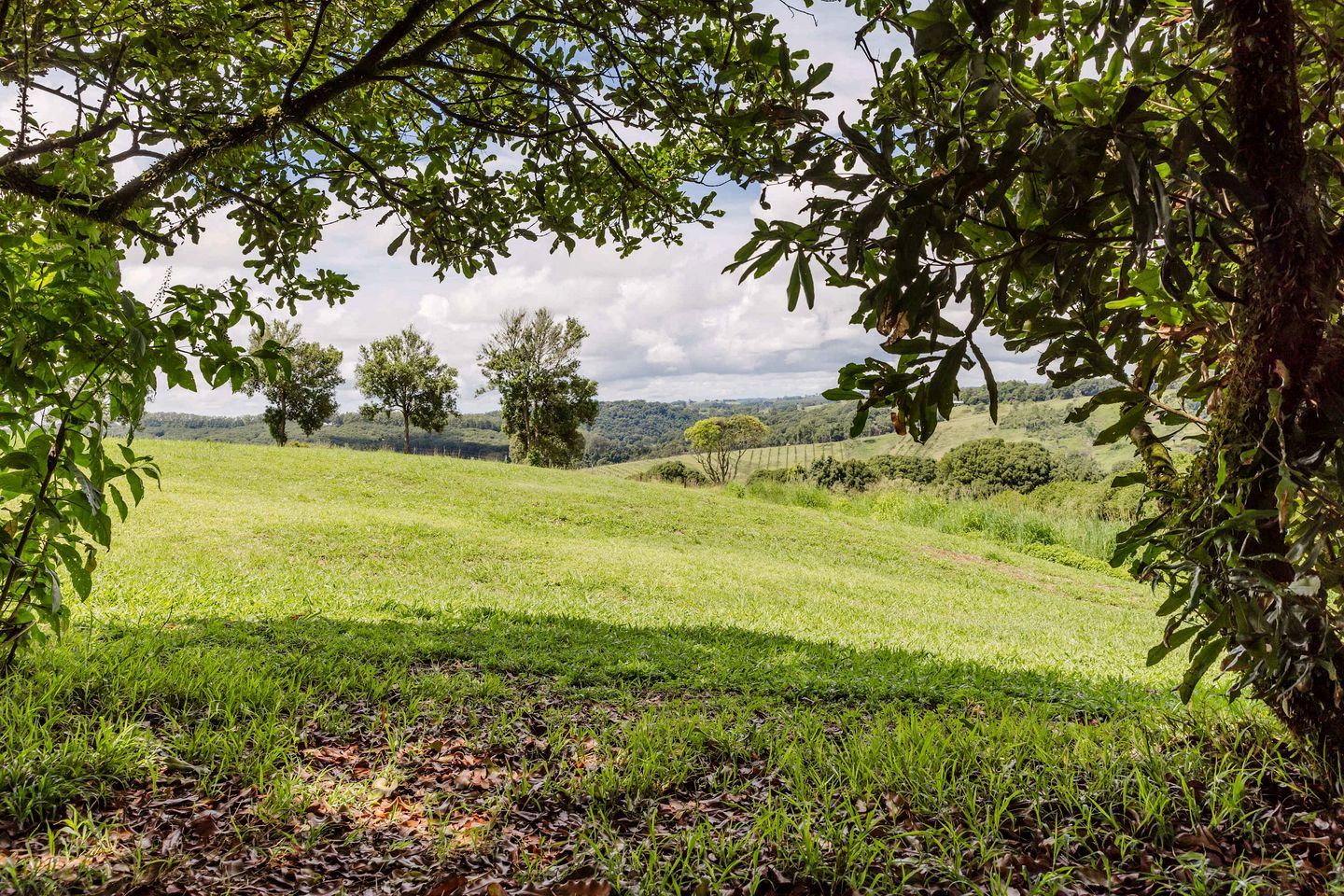 Peaceful Tiny House with Great Sights in Eureka, New South Wales